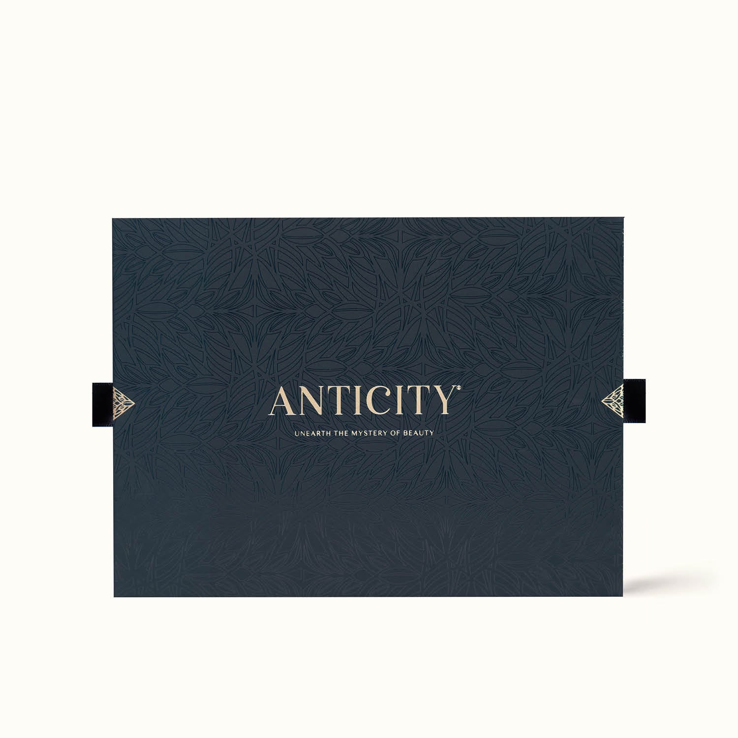 Anticity Bioenergetic Anti-Pollutant Clay Mask