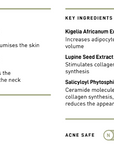 Lupine 3D Architecture