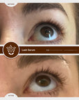 Roccoco Botanicals RB Natural Lashes Before and After